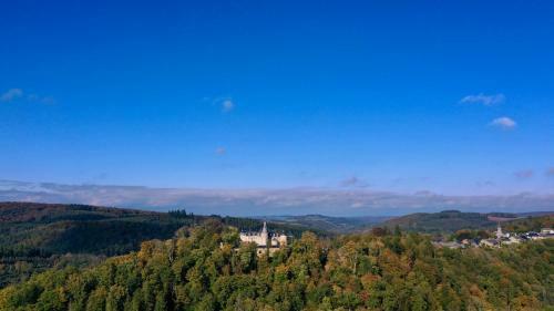 Hotel Le Ch�teau De Mirwart