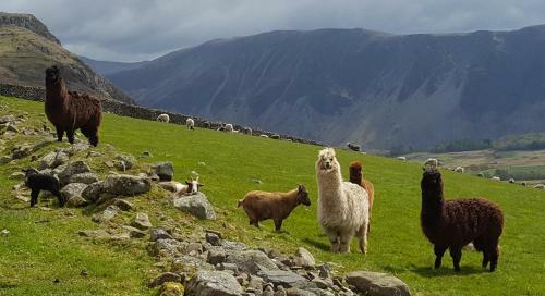 Windsor Farm House Scafell