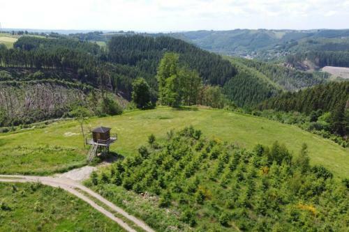 Le Grand Cerf 25 Pers, Malmedy- Chalet Rustique, Jardin