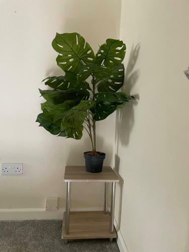 Two Bedroom Apartment- Private Parking-tenby