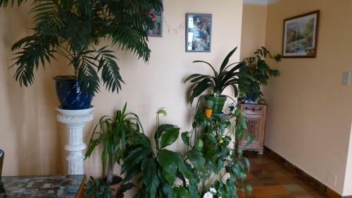 Bed & Breakfast Chambres D'h�tes La Plantade