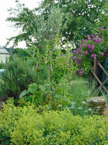 Bed & Breakfast La Ferme Aux Oies