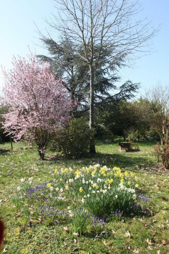 Bed & Breakfast La Ferme Aux Oies