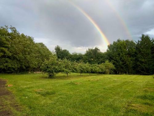 Elderflower Cottage 3 Private Acres And Miles Walks