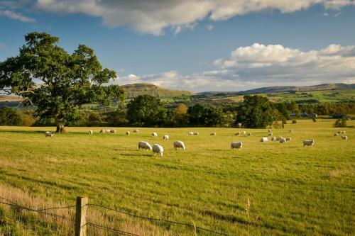 Cardross Holiday Cottages