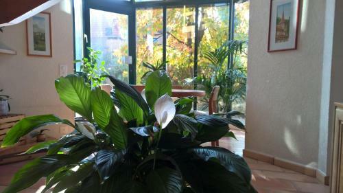 Hostal Guest House La Sereine