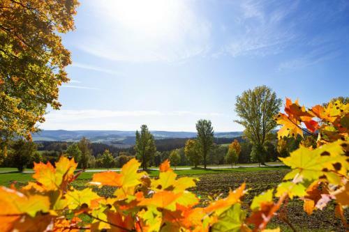 Apartamento Ferienwohnung Im Erzgebirge
