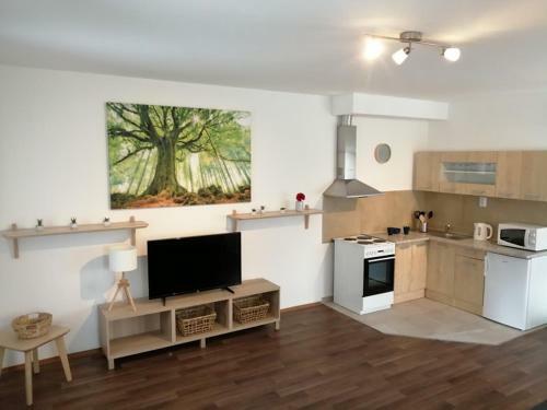 Apartm�ny U St?�brn�ch