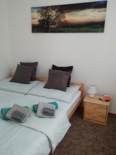 Apartm�ny U St?�brn�ch
