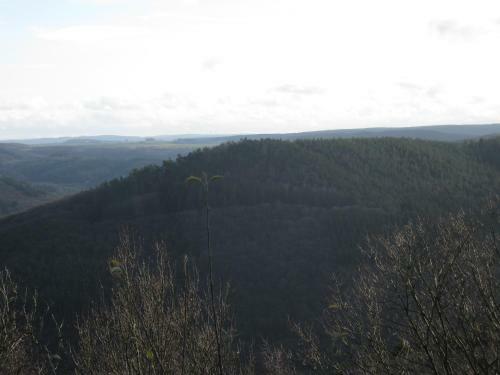 Das Burgberghaus Apartment Talaue 1.og
