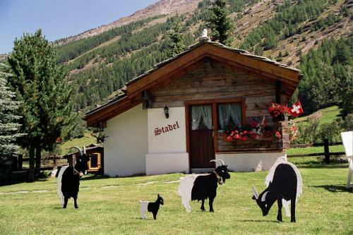 Apartamentos Haus Alpenstern