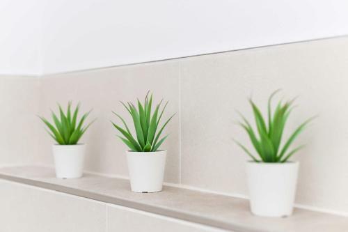 Apartamento Haus Meerzeit