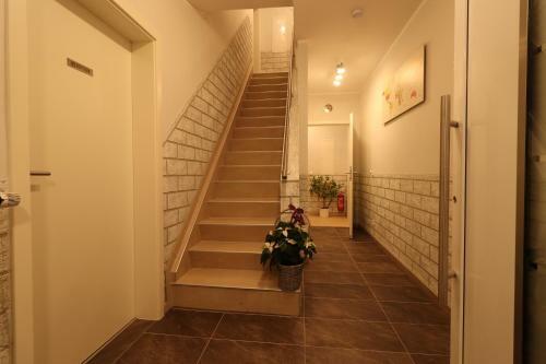 Hostal Schiller Pension