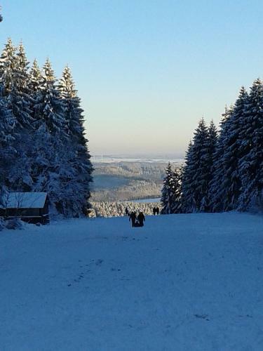 Apartamento Ferienwohnung Bleialf