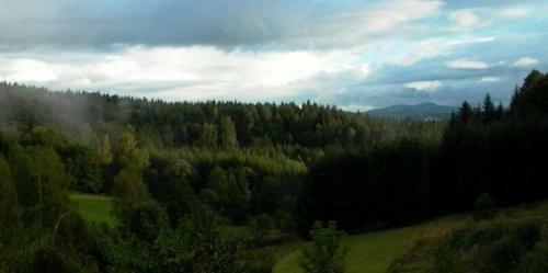 Apartamento Bergl-alm, Urlaub Mit Hund