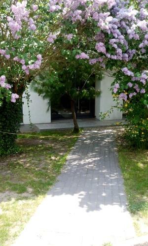 Posada Pension An Der Elsterbr�cke