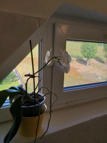 Hostal U Pohody