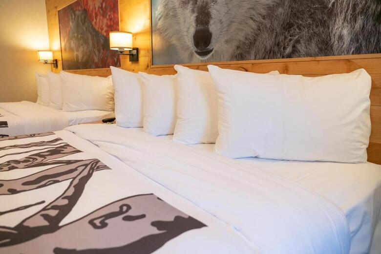 Hotel Banff Rocky Mountain Resort