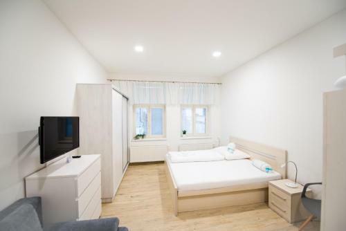 Apartm�ny Velk� N�m?st�