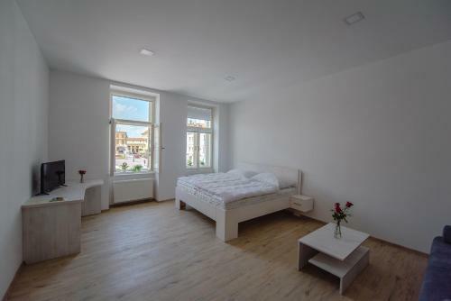 Apartm�ny Velk� N�m?st�