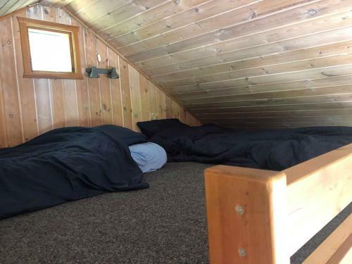 Rejkj�r Camping Hytter & Lejligheder