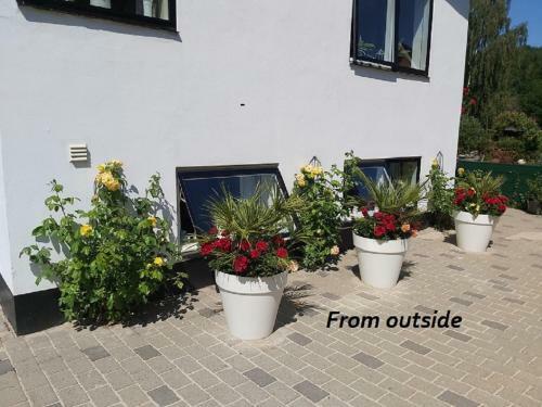 Mini Lejlighed N�r Vejle Centrum Og Legoland