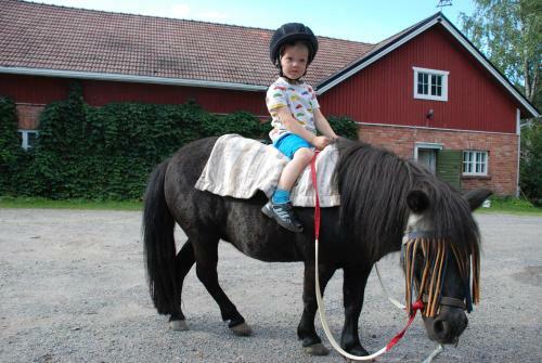 Agroturismo Siiril�n Tila