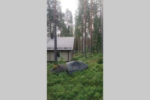 Cozy Holiday Home In Savonranta