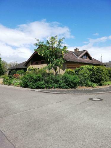Apartamento Ferienwohnung / Monteurswohnung In Ruhiger Waldlage