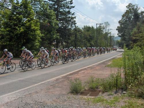 Hotel Antique Rose Inn Windham