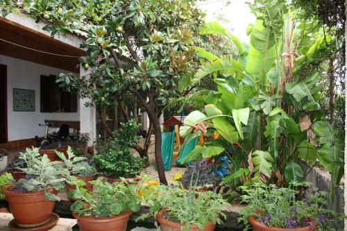 Bed & Breakfast Oasi Del Gabbiano