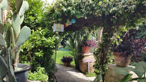 Bed & Breakfast Oasi Del Gabbiano
