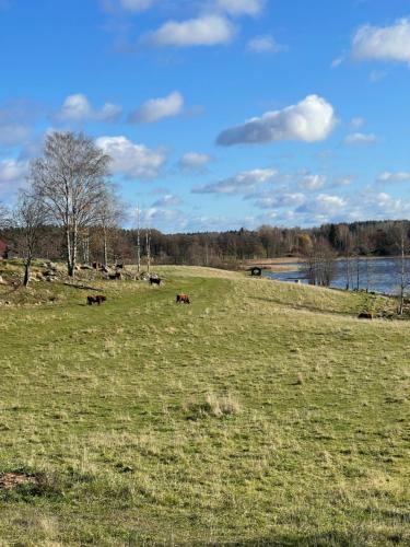 Villa Laidike With Sauna/fireplace, 80 Km Helsinki