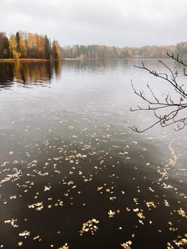 Villa Laidike With Sauna/fireplace, 80 Km Helsinki