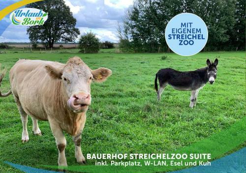 Apartamento Familien-suite-im-wald-am-see