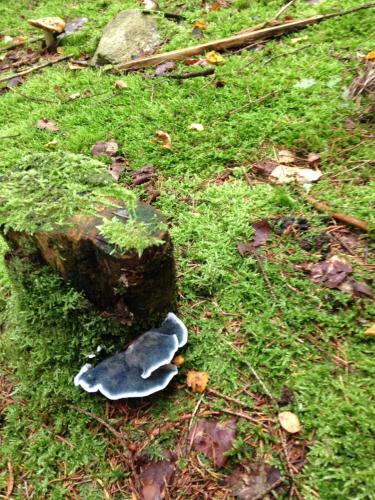 Apartamento Ferienwohnung Magdalena