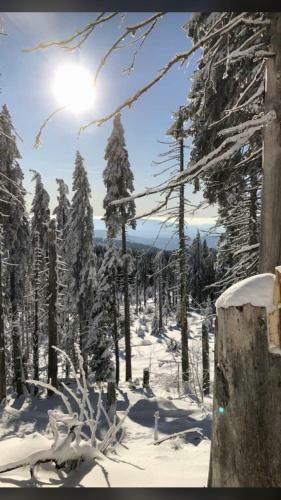 Apartamento Ferienwohnung Magdalena