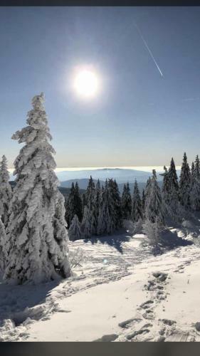 Apartamento Ferienwohnung Magdalena