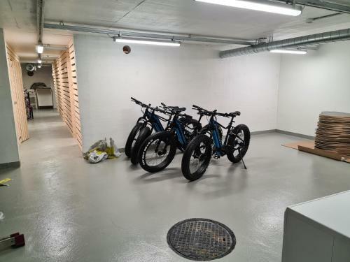 Apartamento Levibooking Lost In Levi Apt 101