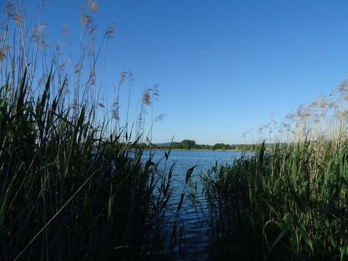 Apartamento Ferienwohnung Auszeit