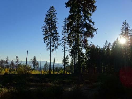 Apartamento Ferienwohnungen Koller