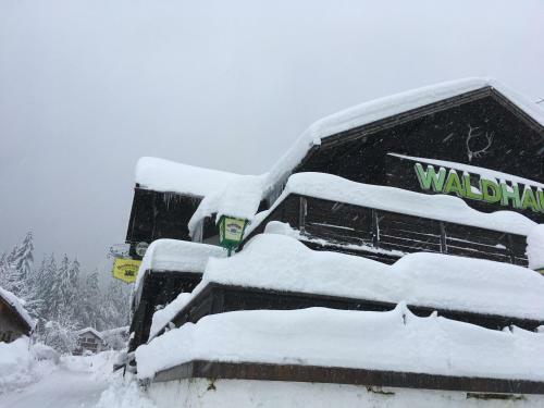 Hotel Waldhaus