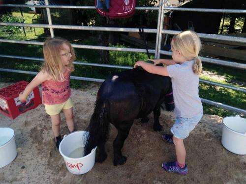 Apartamento Ferienwohnnung Sternhof (bauernhof)