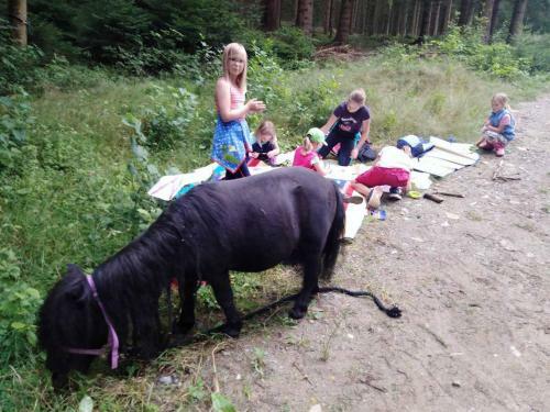 Apartamento Ferienwohnnung Sternhof (bauernhof)