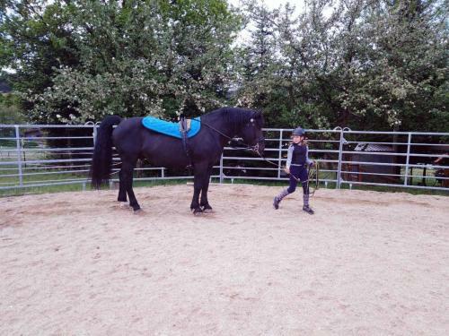 Apartamento Ferienwohnnung Sternhof (bauernhof)