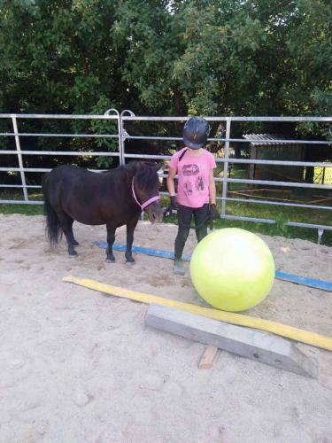 Apartamento Ferienwohnnung Sternhof (bauernhof)