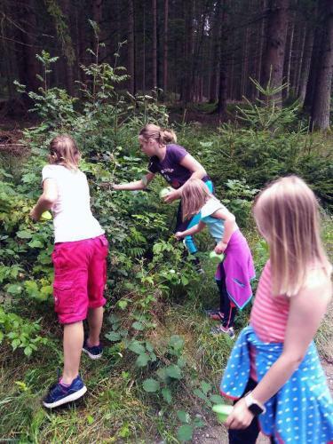 Apartamento Ferienwohnnung Sternhof (bauernhof)