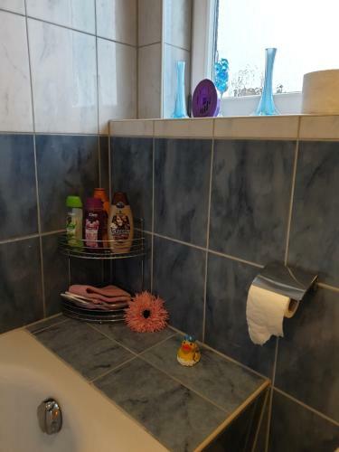 Apartamento Sch�ne Gro�e Ferienwohnung Im Mittelrheintal Nahe Loreley