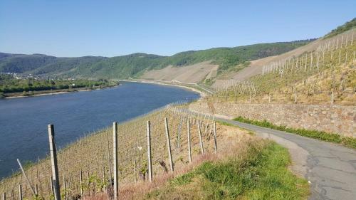 Apartamento Ferienwohnung Rheinzeit Beim Toni