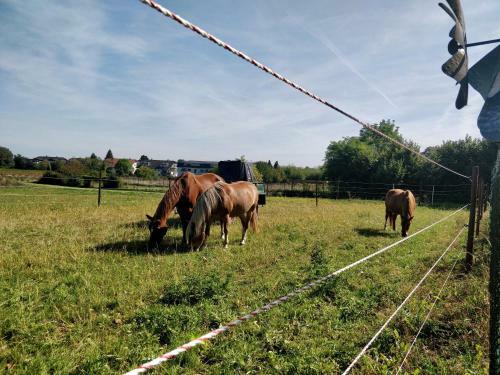 Haus Im Gr�nen